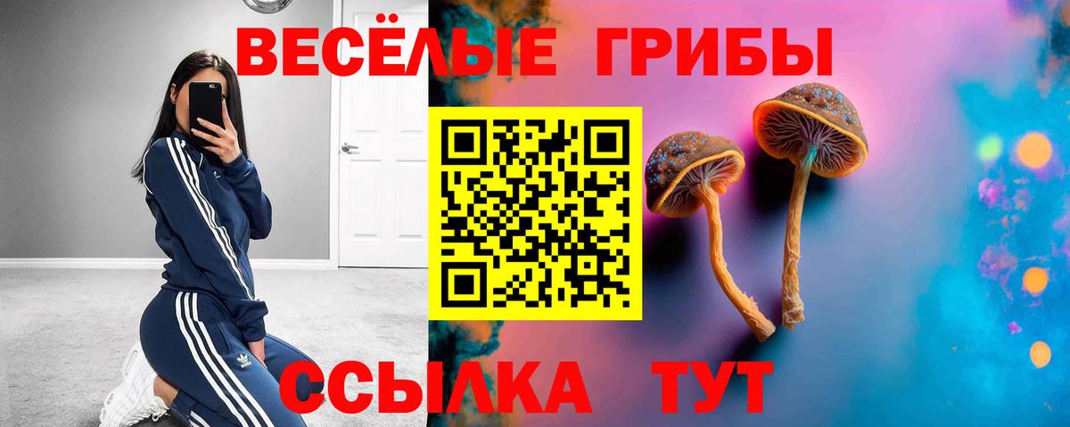 Псилоцибиновые грибы Psilocybine cubensis  Псилоцибиновые грибы Cubensis  Вход с VPN  Сегежа 